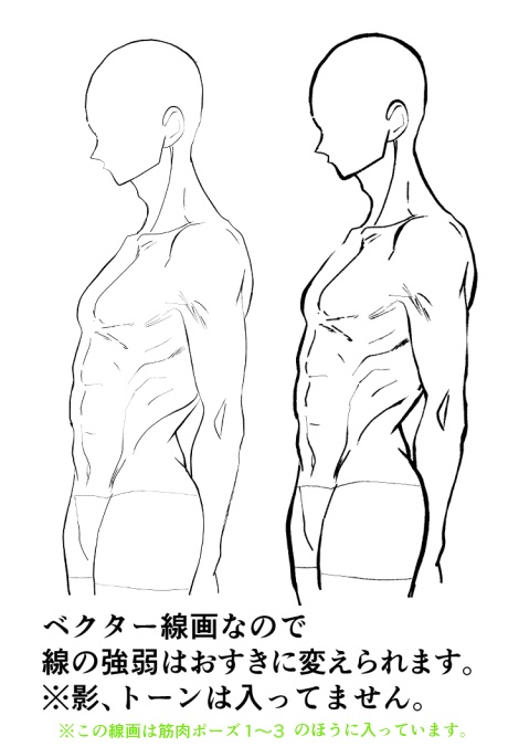 【商用改変可】筋肉線画集4【ベクター】