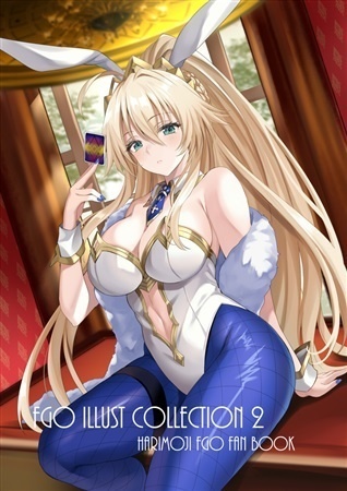 FGO ILLUST CLLECTION2