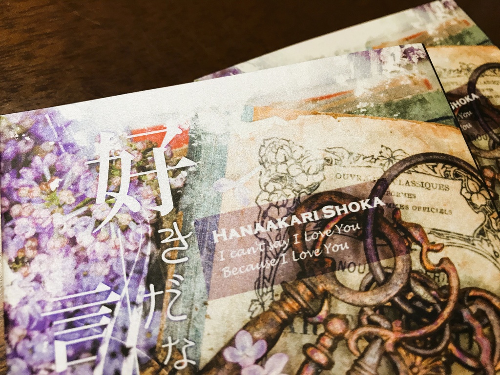 好きだなんて言えない【夢小説】