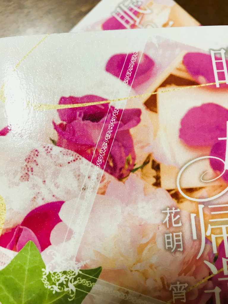 【アウトレット】眠り姫の帰還【夢小説】