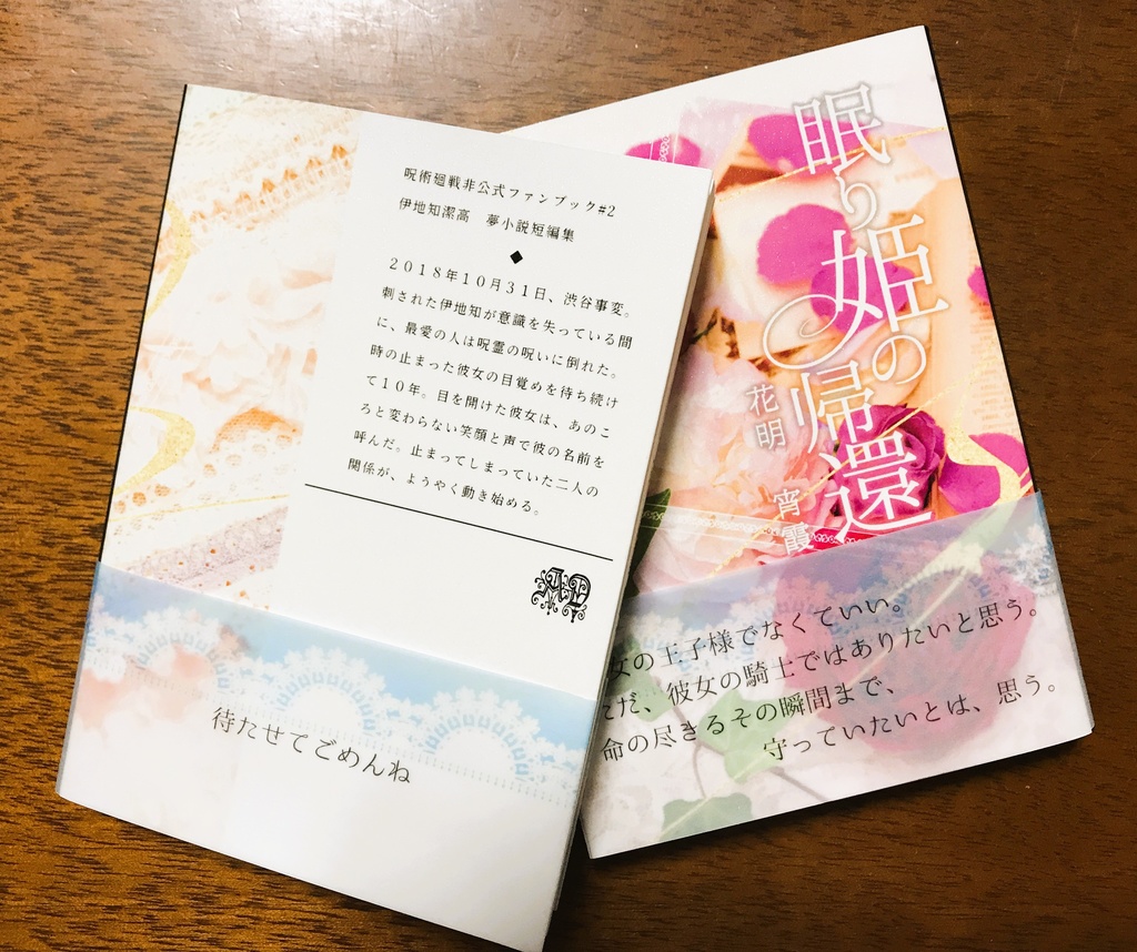 【アウトレット】眠り姫の帰還【夢小説】