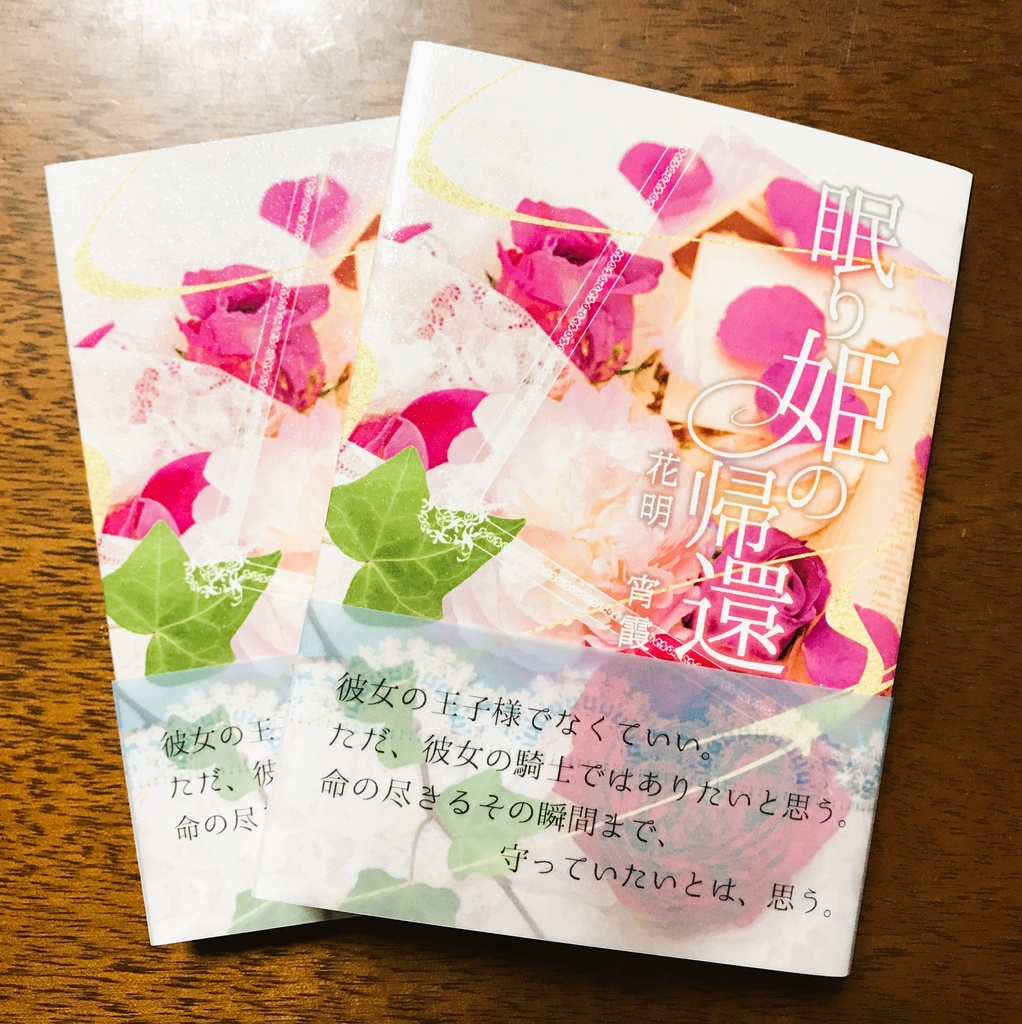 【アウトレット】眠り姫の帰還【夢小説】