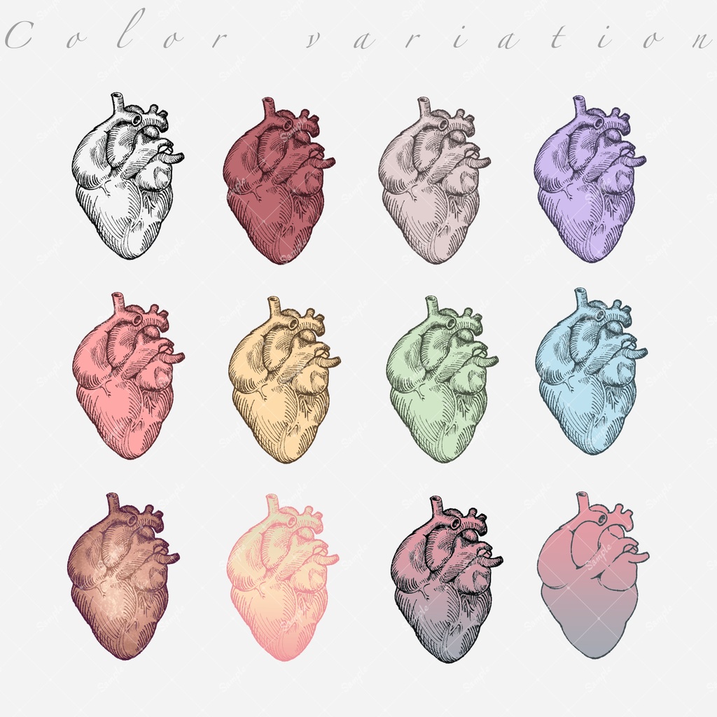 【素材集】内臓/Organ