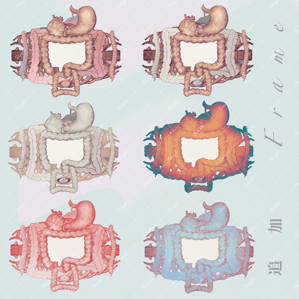 【素材集】内臓/Organ