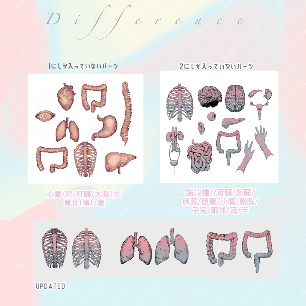 【素材集】内臓/Organ2