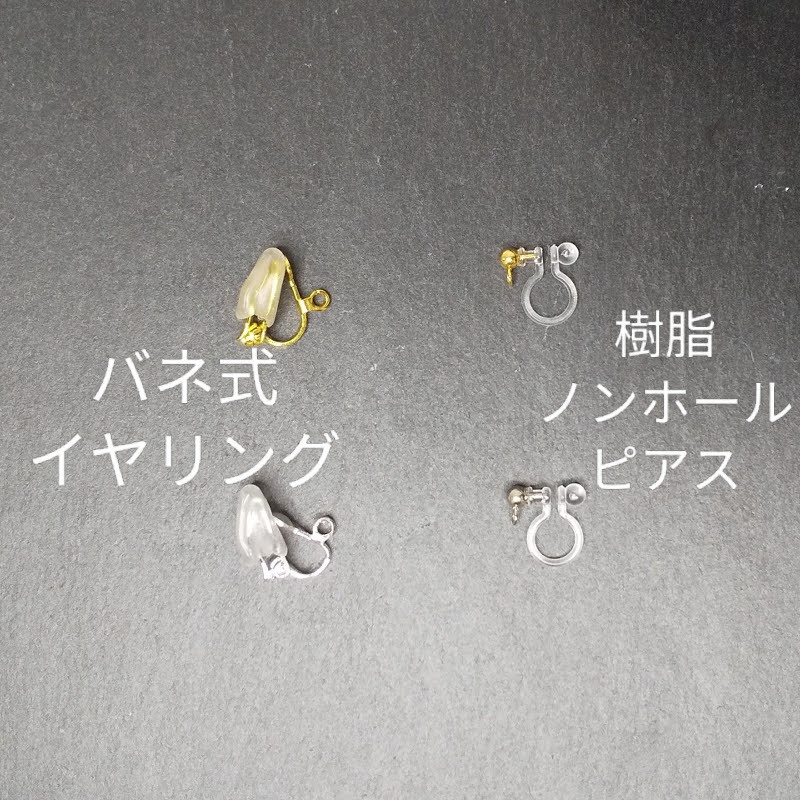 マッドサイエンティストのピアス/イヤリング