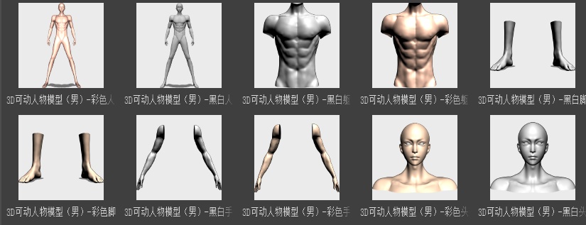 3D可動キャラクターモデル(男性)