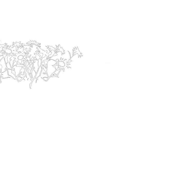 【究極の自然素材集】100種類以上のPS & CSP対応ブラシライブラリ