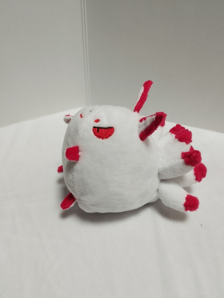 動物ぬいぐるみ