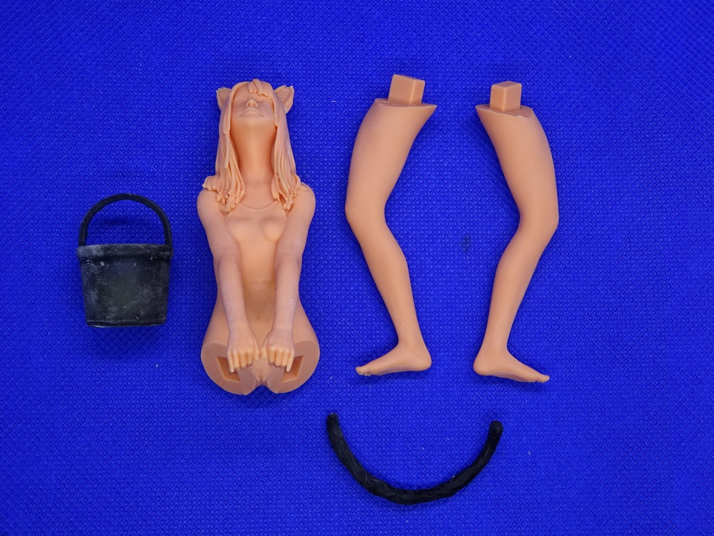 1/12 スクール水着(ネコ)