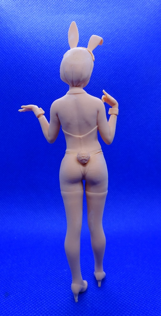 1/12 バニーガール