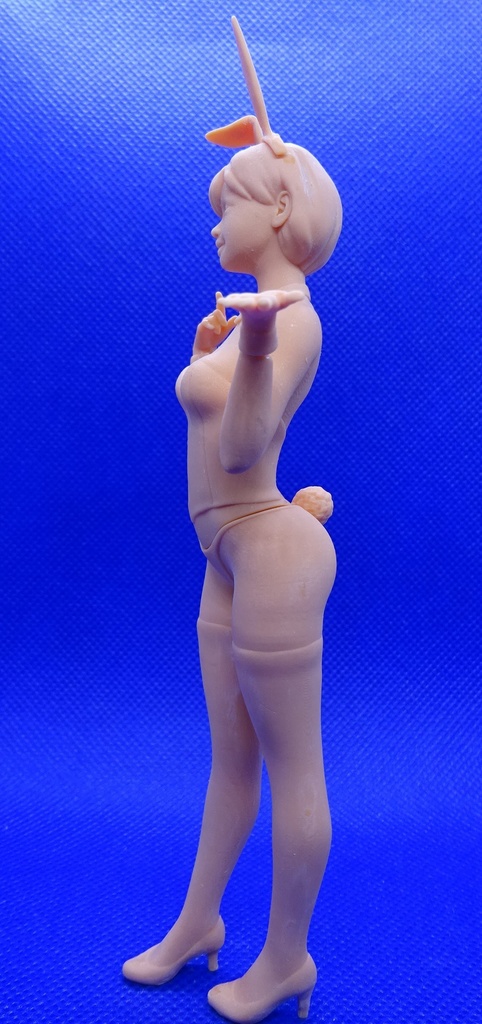 1/12 バニーガール