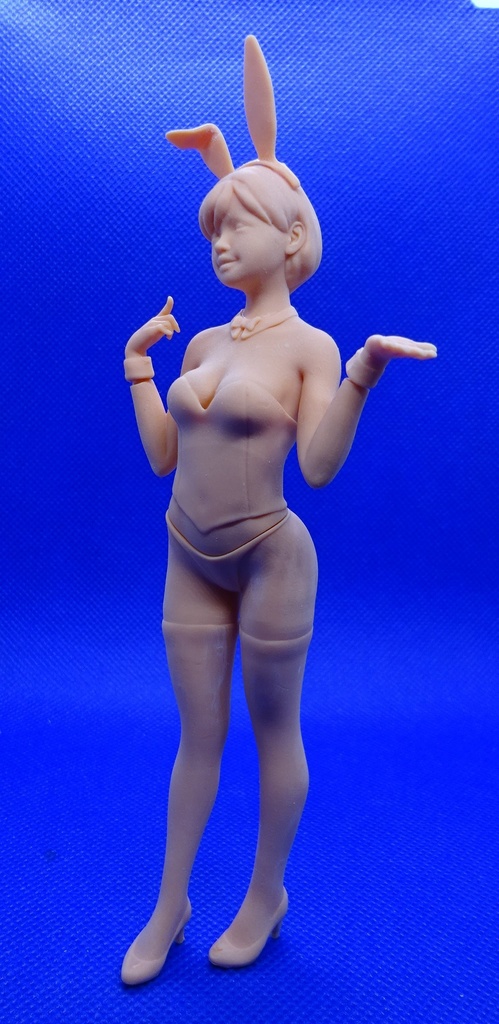 1/12 バニーガール