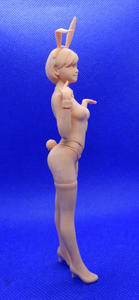1/12 バニーガール