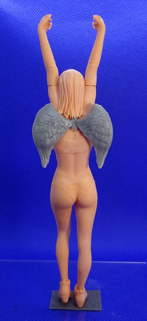 1/12 Angel