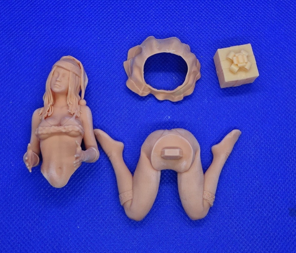 1/12 サンタ少女 Ⅴ