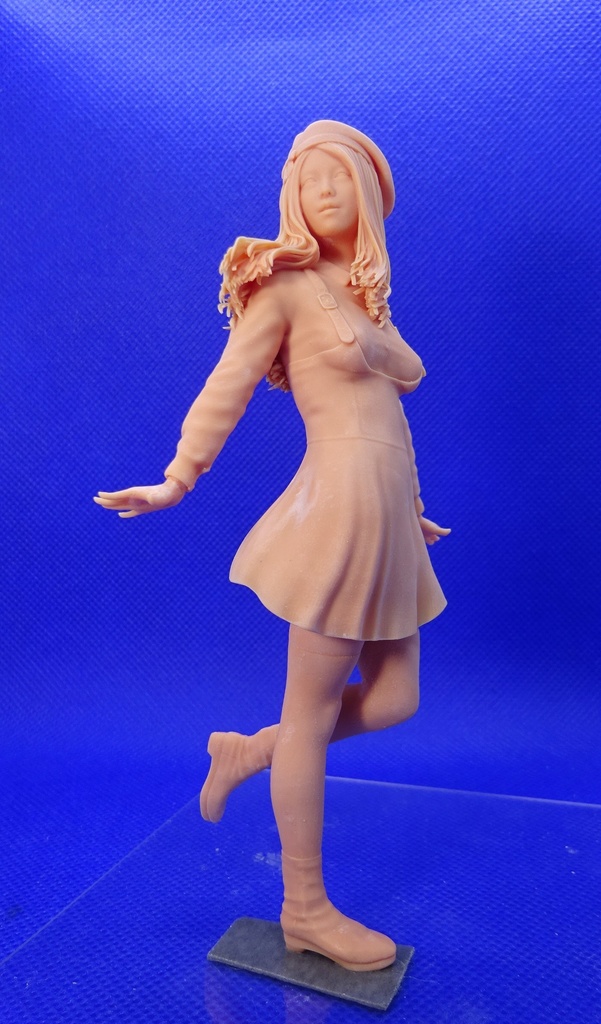 1/12 少女弐拾参