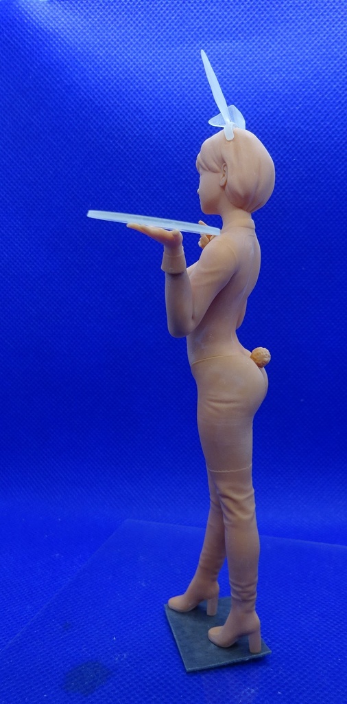 1/12 逆バニーVer A