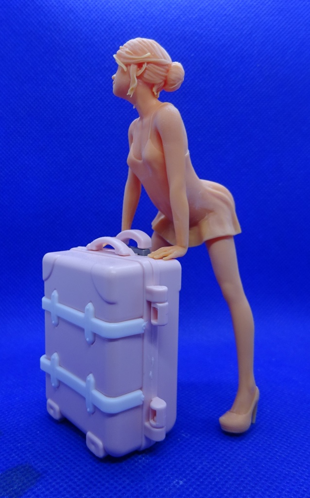1/12 少女(旅行)
