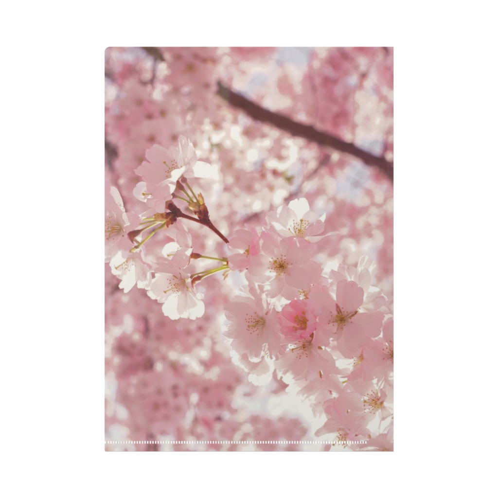 【3/25にこちゃんデー🙂&月末ファン鯖イベミニお花見パーティー🍡🌸】オリジナルクリアファイル✨
