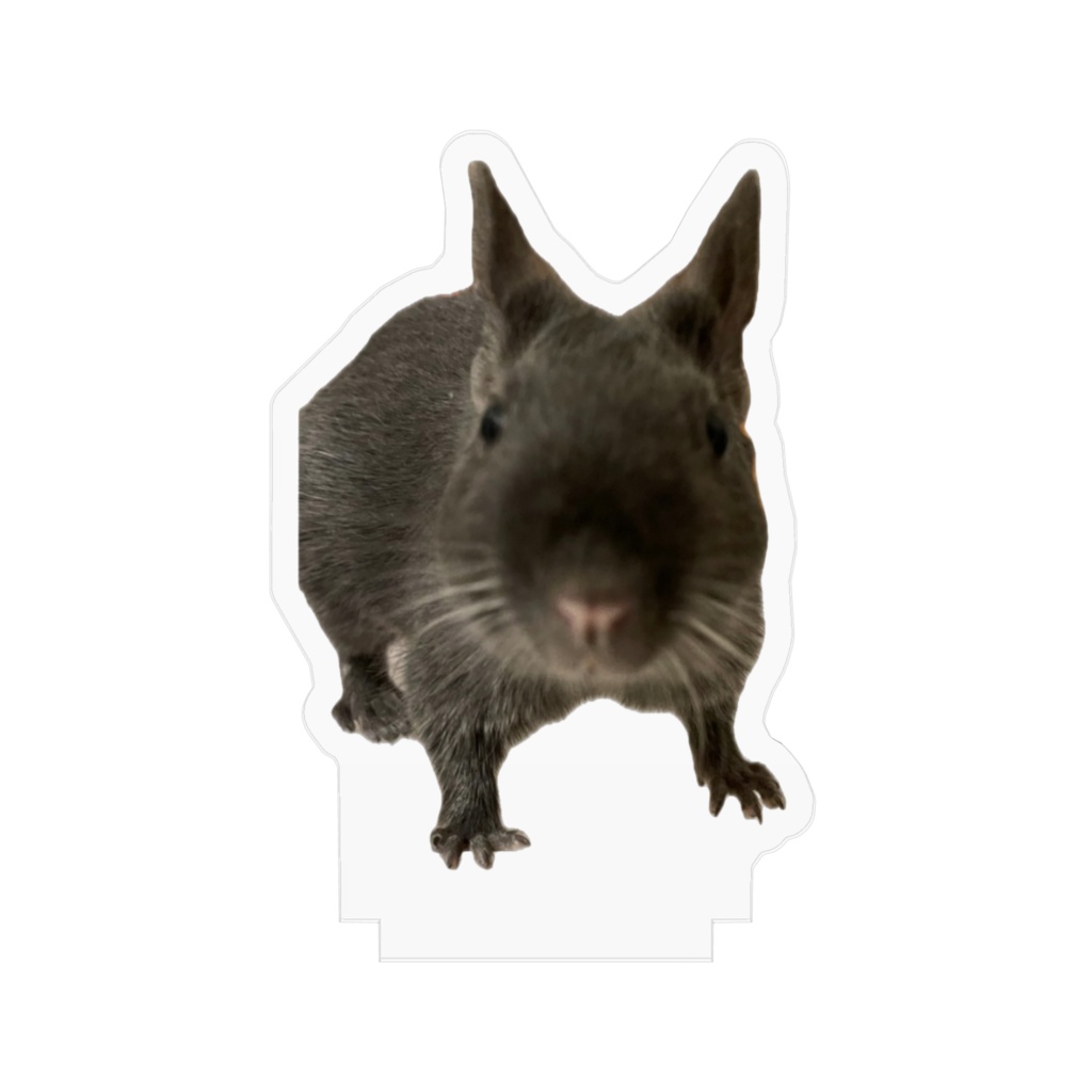 おぎん(はいっ!)