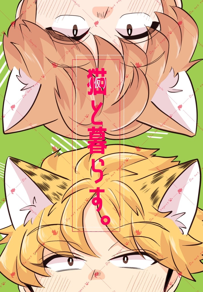 【諏訪来】猫(仮)と暮らす。