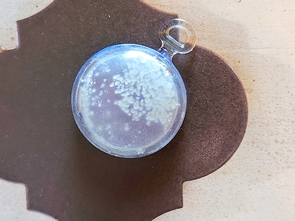 リーシャさん_くら爺