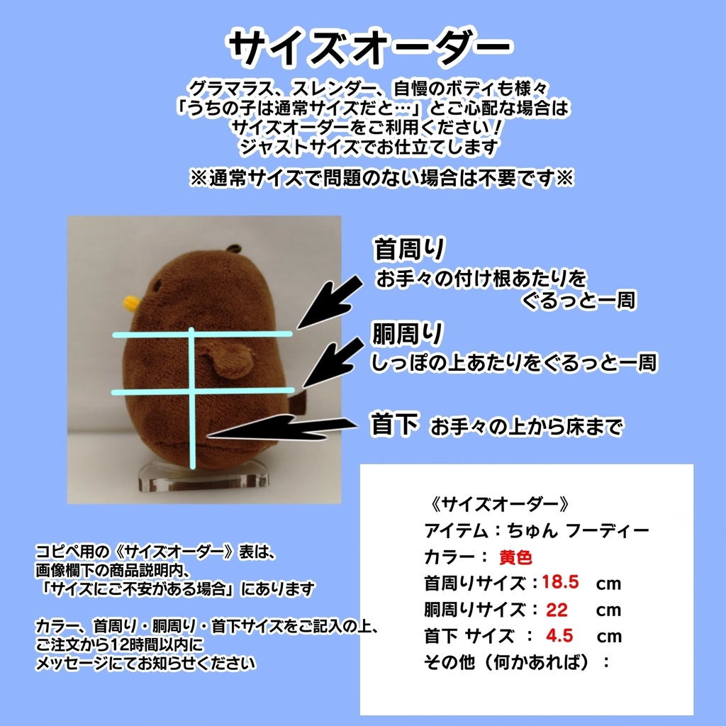 ちゅんのフーディー