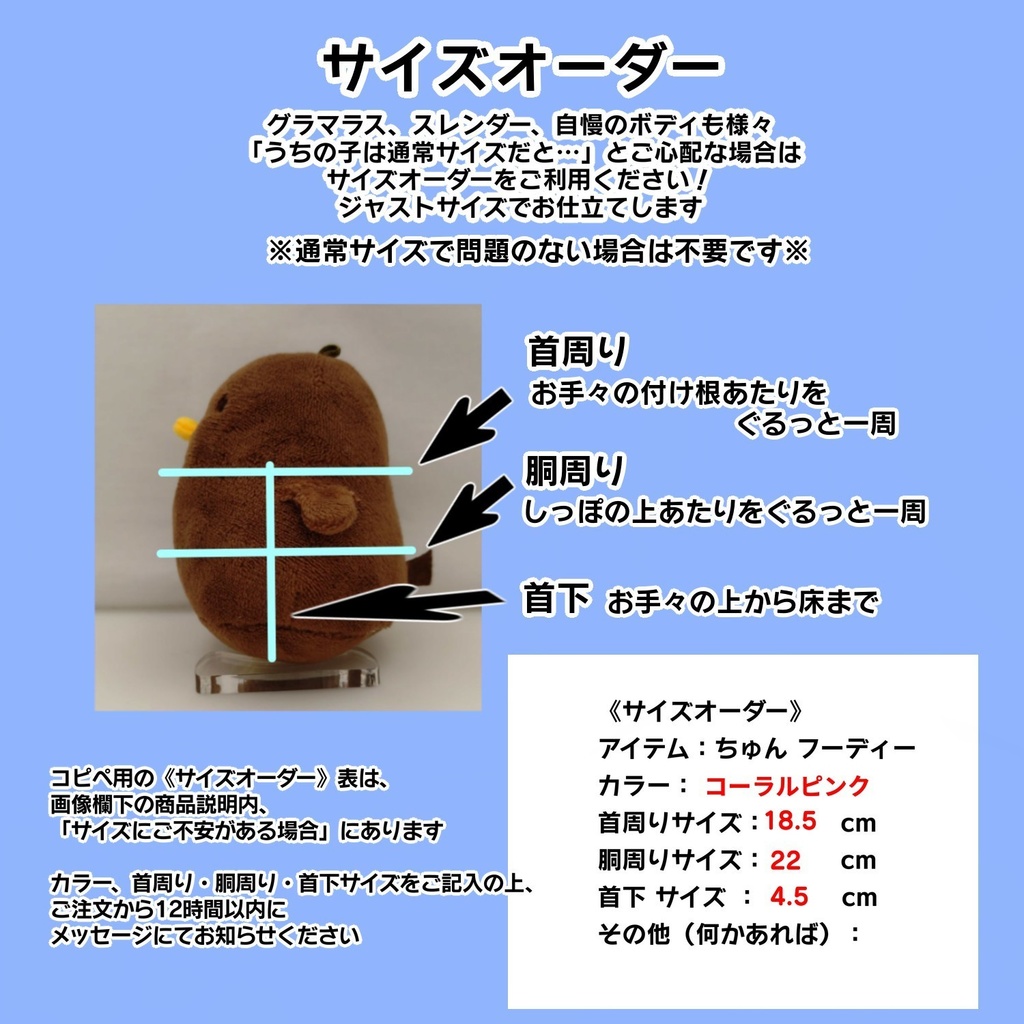 ちゅんのフーディー'26