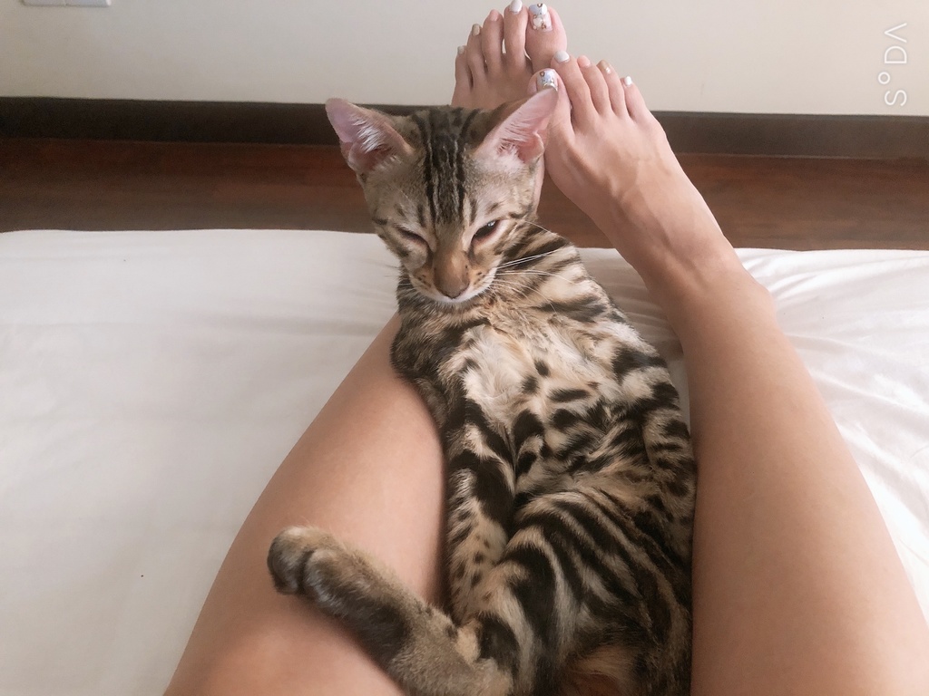 スプーンに怒っています
