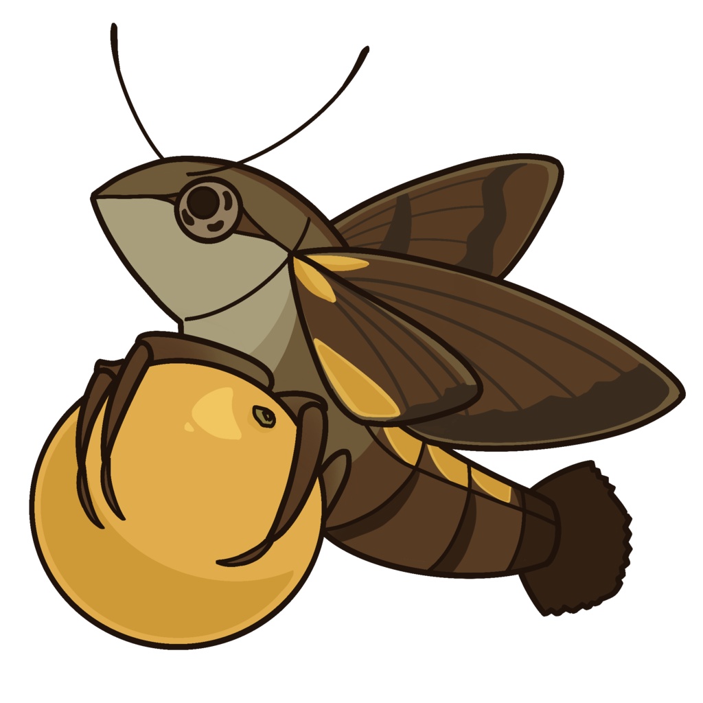 ホシホウジャク ステッカー(大)