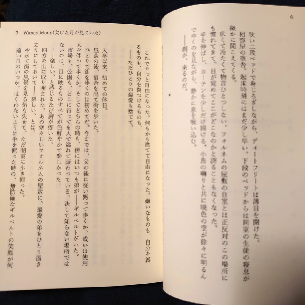 作り雨にはブーゲンビリア