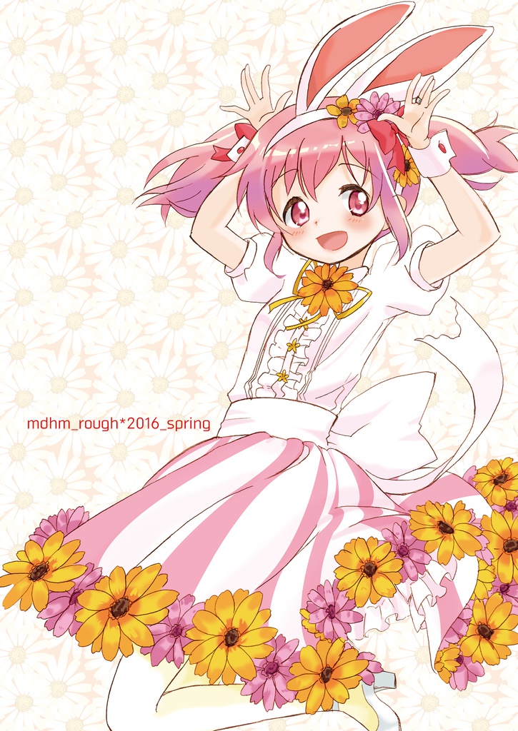 mdhm_rough*2016_spring