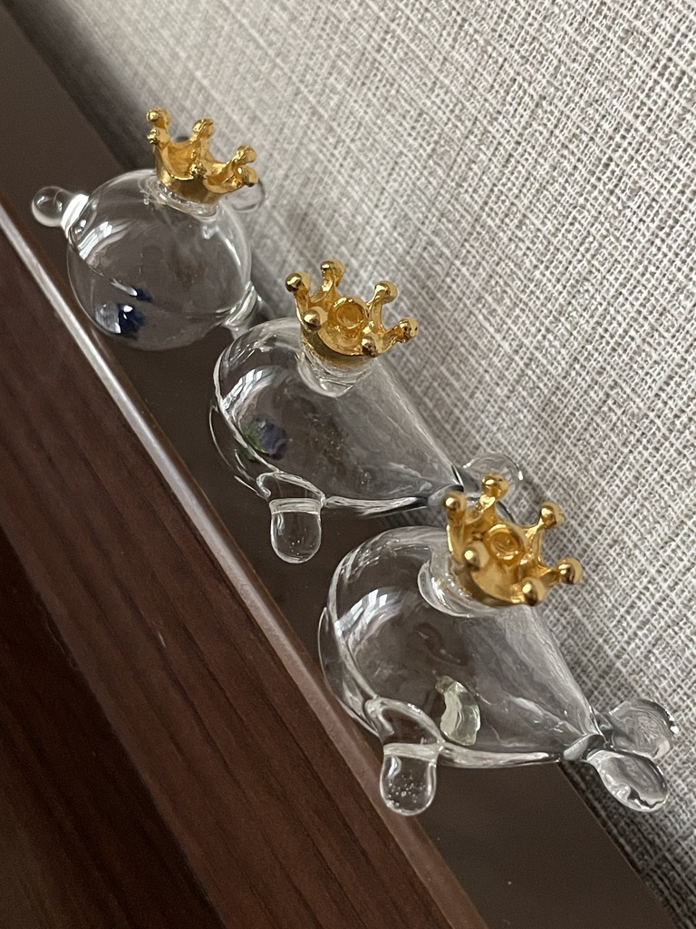 宝石鯨_Cグループ