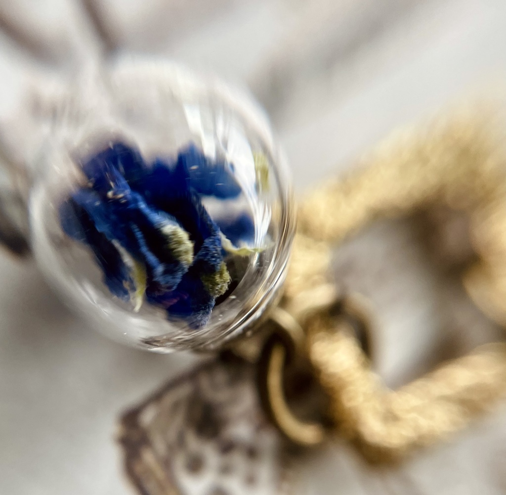 デルフィニウムのブックマーカー