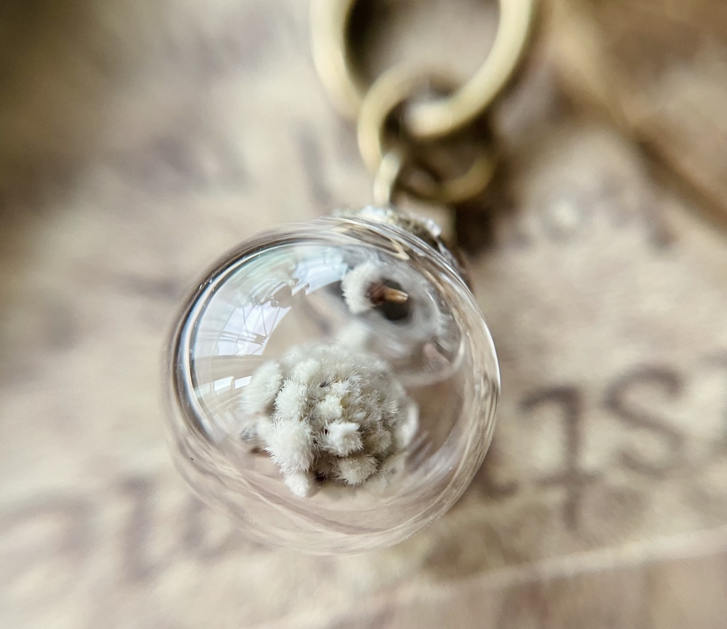 コデマリのブックマーカー