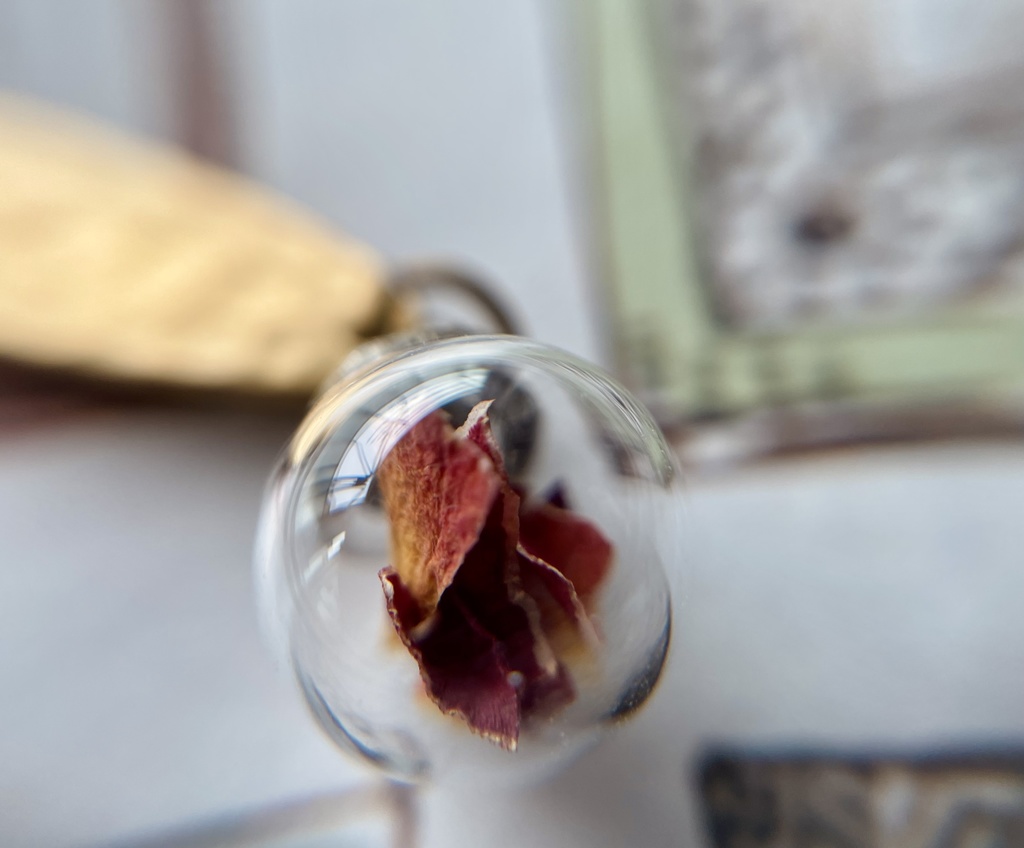 赤薔薇のブックマーカー