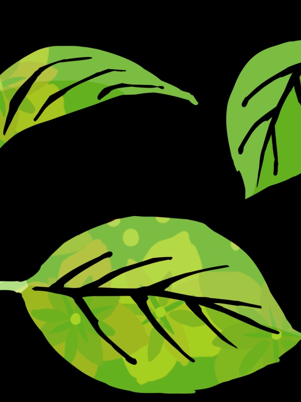 【無料版あり】紫陽花素材集