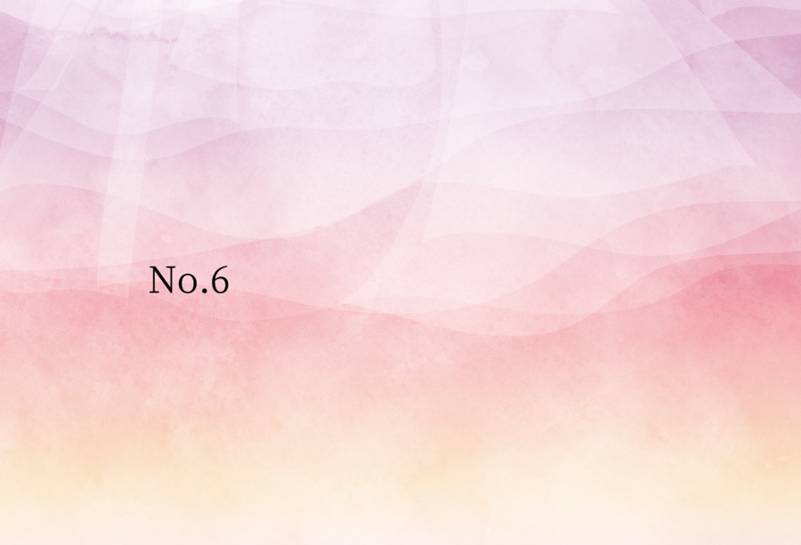 No.6