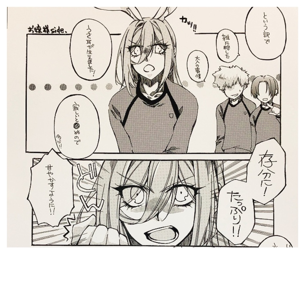 ケモノの病の治し方