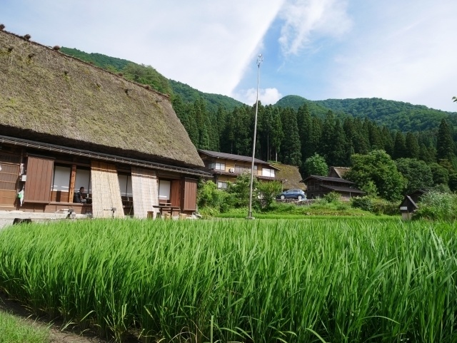 田園地帯