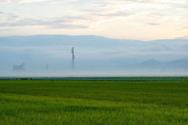 朝靄
