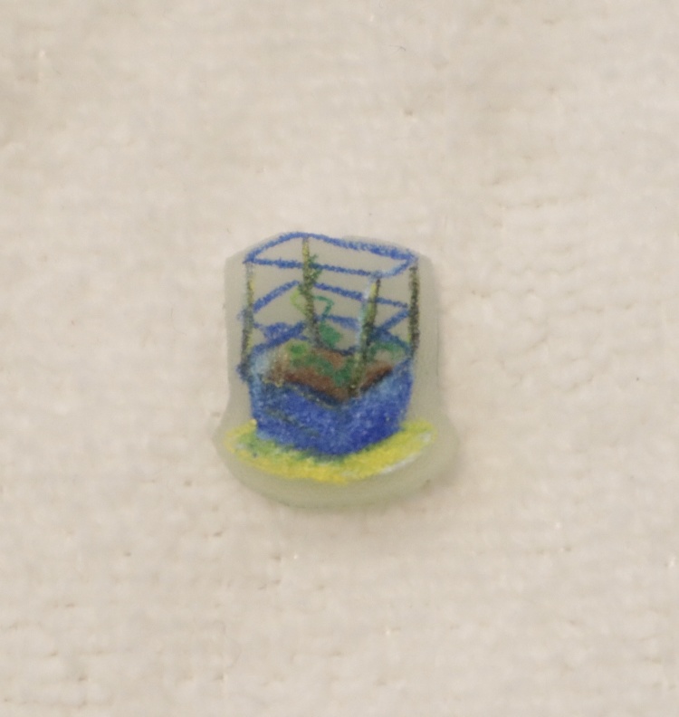 1cmプラ板「朝顔」
