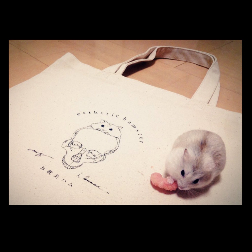 【手刷りシルクスクリーン】お耽美ハムトート