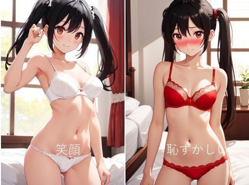 彩り下着姿～ツインテール Wパック～