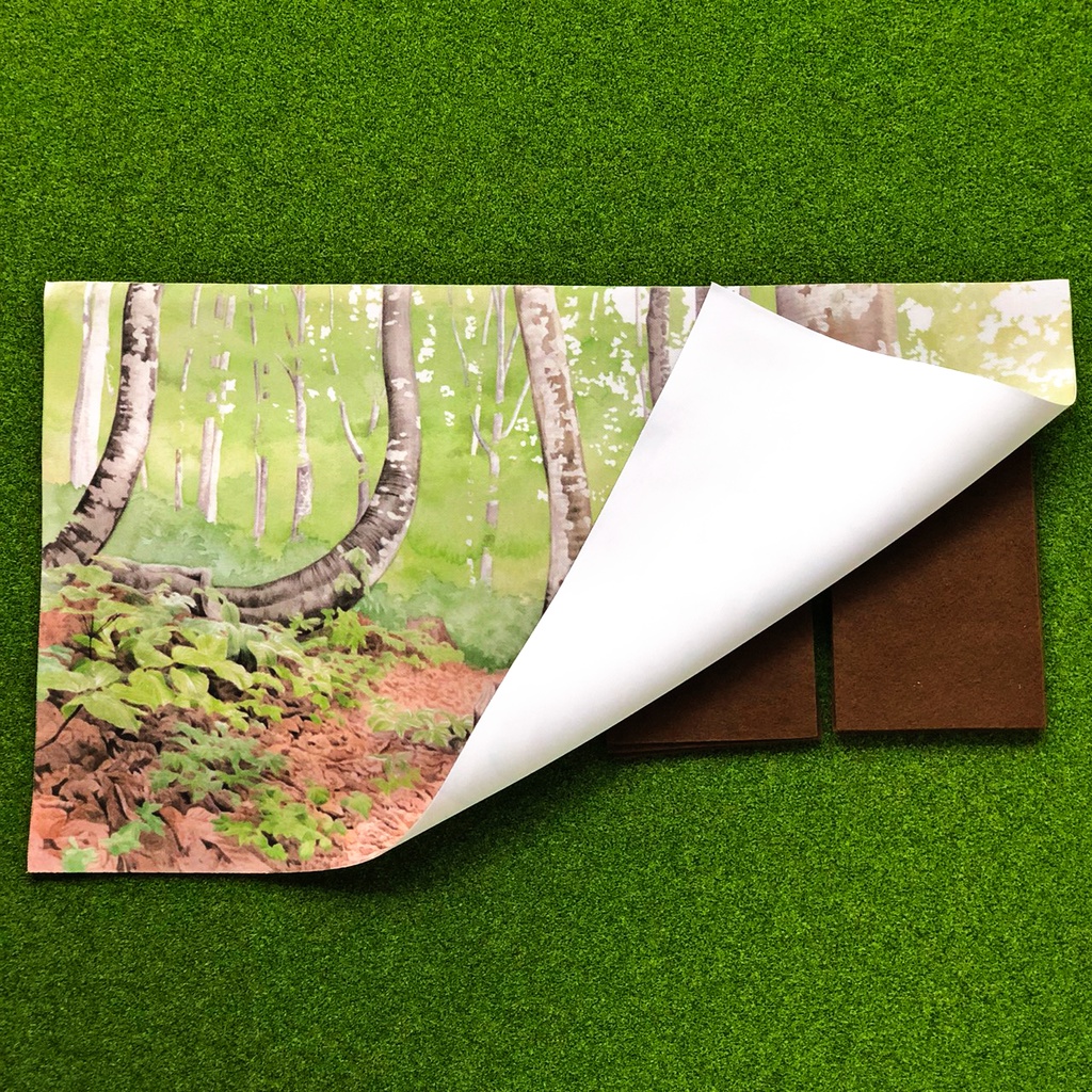 冬虫夏草 第2版