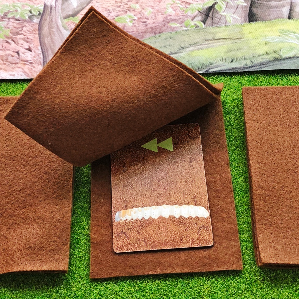 冬虫夏草 第2版