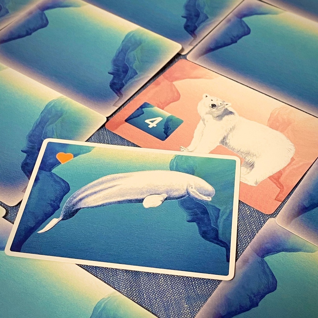 ベルーガ(第2版)