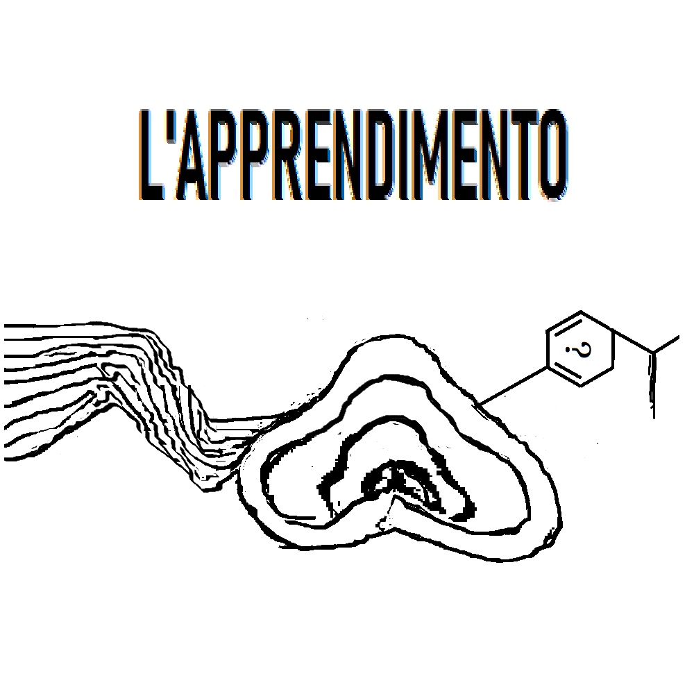 L'Apprendimento