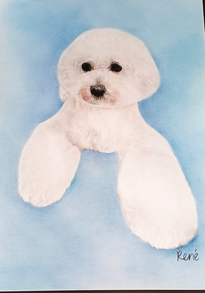 A4サイズ/ペットさんや人物など似顔絵作成